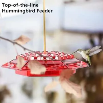 Hummingbird Feeder with Ant Moat for Outdoor Enjoyment