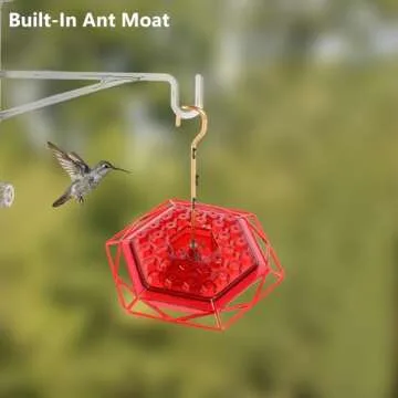 Hummingbird Feeder with Ant Moat for Outdoor Enjoyment