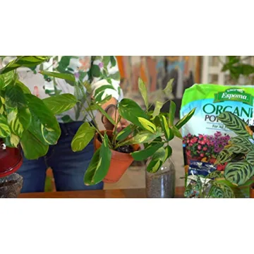 Espoma Organic Potting Mix for Indoor and Outdoor Plants