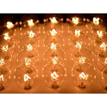 Clear Globe G40 Replacement Bulbs E12 Screw Base Light Bulbs 5W Globe Bulbs 1.5-Inch String Light Replacement Bulbs for Indoor Outdoor Patio Decor,Pack of 25