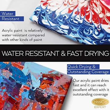 HissiCo Acrylic Paint Set of 12 Non-Toxic Colors