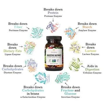 Truvani Digestive Enzymes | 9 Enzyme Blend for Enhanced Digestive Support and Nutrient Absorption