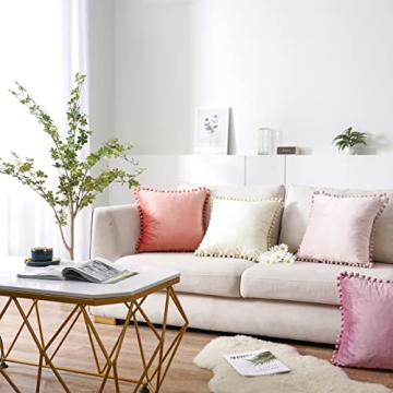 Top Finel Velvet Throw Pillow Covers Set of 2, Soft and Durable