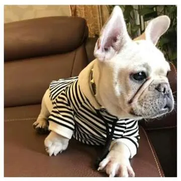 HQREA Classic Fashion Striped Dog Coats Pullover Hoodie for Small Dogs - Cute Dog Sweatshirt
