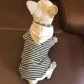 HQREA Striped Dog Hoodie for Small Dogs - Fashionable Pullover