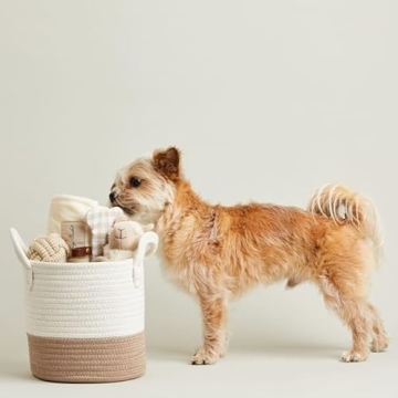 Harry Barker Welcome Home Pet Bundle Gift for Dogs