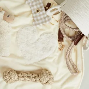 Harry Barker Welcome Home Pet Bundle Gift for Dogs