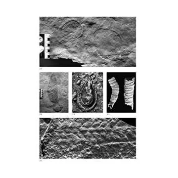 A Brief History of Earth: Four Billion Years in Eight Chapters