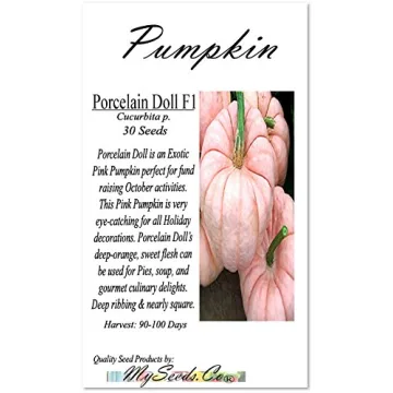 Rare Non-GMO Pink Pumpkin Seeds for Fundraising Events