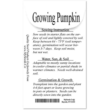 Rare Non-GMO Pink Pumpkin Seeds for Fundraising Events