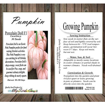 Rare Non-GMO Pink Pumpkin Seeds for Fundraising Events