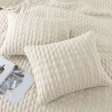 Lightweight WDCOZY Ivory Quilts Queen Size Bedding Set