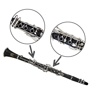 Rhythm Bb Clarinet for Beginners with Accessories and Case