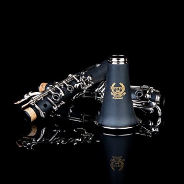 Rhythm Bb Clarinet for Beginners with Accessories and Case