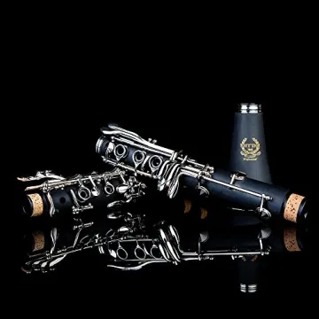Rhythm Bb Clarinet for Beginners with Accessories and Case