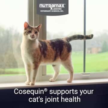 Nutramax Cosequin Joint Health Supplement for Cats - With Glucosamine, Chondroitin, and Omega-3, 60 ...