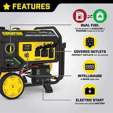 Champion 4750-Watt Dual Fuel Portable Generator
