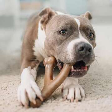 Benebone Large 4-Pack Dog Chew Toys for Aggressive Chewers, Made in USA, 90lbs and Under