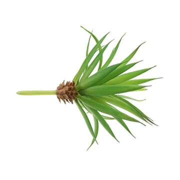 LJY 2 Pieces Realistic Artificial Faux Succulent Yucca Vera Greenhouse Small Plants Unpotted for Home Garden Decoration (Spring Green)