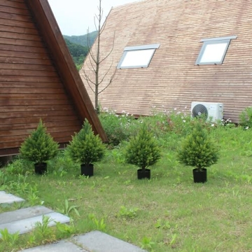 Artificial Cedar Topiary Ball Tree - Gorgeous and Versatile