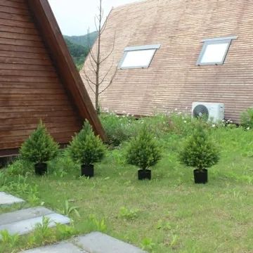 Artificial Cedar Topiary Ball Tree - Gorgeous and Versatile