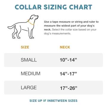 Embark Urban Dog Collar – Stylish & Durable Nylon Dog Collars for Small Dogs, Comfortable Pet Coll...