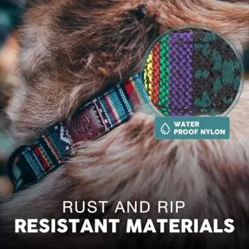 Embark Urban Dog Collar – Stylish & Durable Nylon Dog Collars for Small Dogs, Comfortable Pet Collar, Small Dog Collars for Male & Female Dogs with Strong Buckles. Adjustable Small Dog Collars