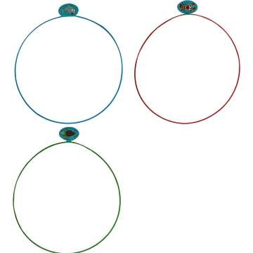 Water Sports Swim Thru Rings - Adjustable Assorted Pack