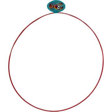 Water Sports Swim Thru Rings - Adjustable Assorted Pack