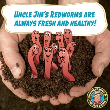 Premium Red Wiggler Composting Worms for Healthy Gardens