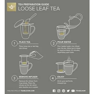 Teabloom Stay-Hot Heatproof Glass Mug with Loose Tea Infuser and Lid – 15 oz /430 mL – 2 Blooming Teas Included