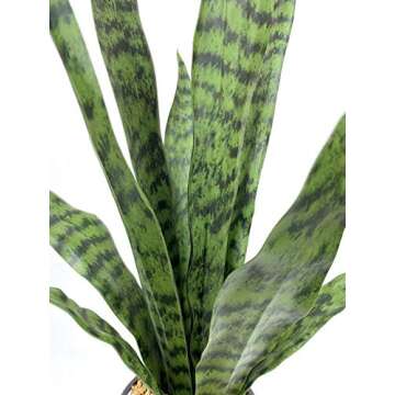 Bird Fiy Artificial Snake Plant 22.5" Faux Agave Fake Sansevieria Artificial Potted Plants for Indoo...