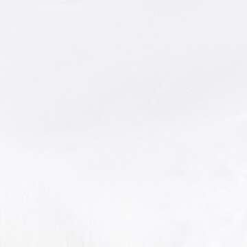 Fresh Ideas Waterproof Mattress Protector 100% Vinyl Hypoallergenic, King White