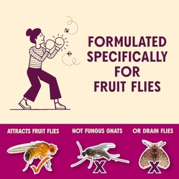 Aunt Fannie’s FlyPunch Fruit Fly Trap - Effective & Safe