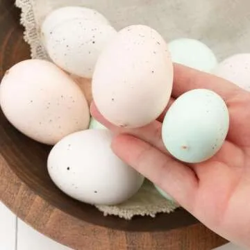 Factory Direct Craft Package of 36 Pastel Speckled Easter Faux Eggs