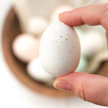 Factory Direct Craft Package of 36 Pastel Speckled Easter Faux Eggs