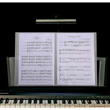 Phyxin Plastic Presentation Book Portfolio Folder 80 Pockets File Folder Clear Sleeves Protectors Display Book Document Organizer for Music Sheets Artwork Drawing for School Office Business 5 Pack