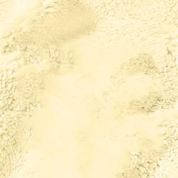 Bacrelax Men's Warm Fleece Crewneck Sweatshirt for Winter