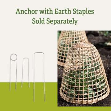 Gardener's Supply Company Woven Willow Cloche Plant Protector & Cover | Sturdy Wooden Cage Garden Protection for Your Plants and Seedlings | No Assembly Required - 15-3/4" in Diameter x 17-1/2" H