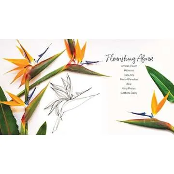 In Bloom: A Step-by-Step Guide to Drawing Lush Florals