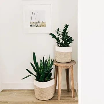 Stylish Woven Plant Baskets Set for Home Decor and Storage