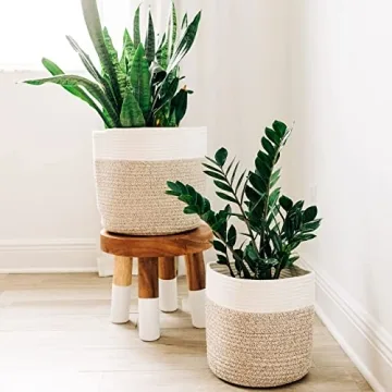 Stylish Woven Plant Baskets Set for Home Decor and Storage