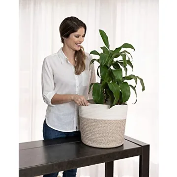 Stylish Woven Plant Baskets Set for Home Decor and Storage