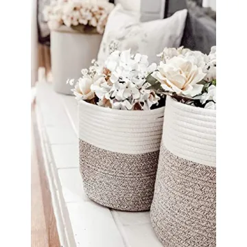 Stylish Woven Plant Baskets Set for Home Decor and Storage