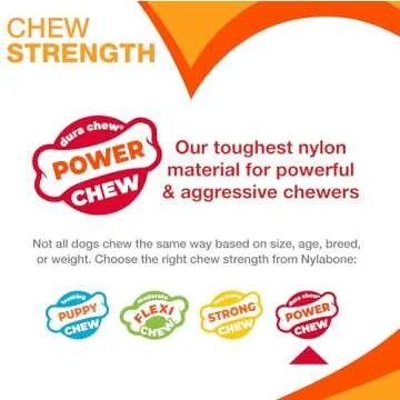 Nylabone Broccoli Power Chew Toy for Dogs, Dog Toys for Aggressive Chewers, Bacon & Cheese Flavor, Large - Up to 50 lbs, 1 Count