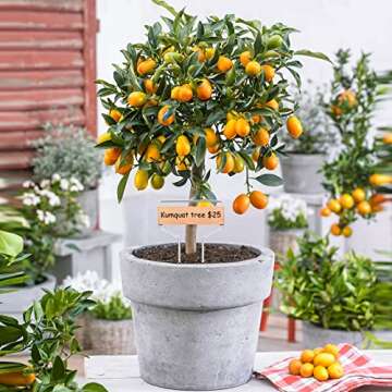 Durable 50 PCS Waterproof Copper Plant Labels for Gardens