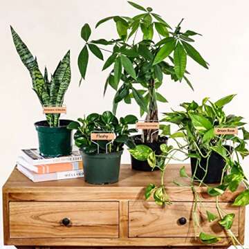 Durable 50 PCS Waterproof Copper Plant Labels for Gardens