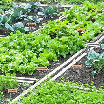 Durable 50 PCS Waterproof Copper Plant Labels for Gardens