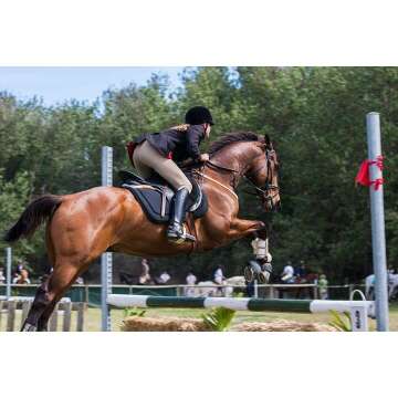 18" Purple Riding Crop for Horses - Premium Quality