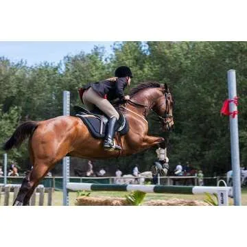 18" Purple Riding Crop for Horses - Premium Quality